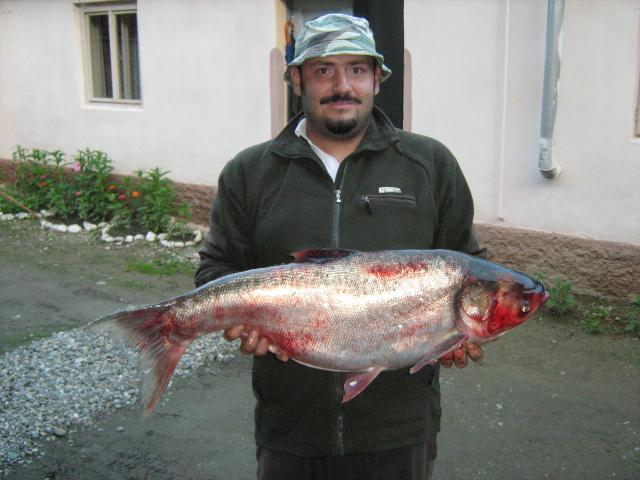 La taparina