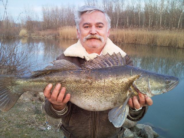 Primul pe 2010
